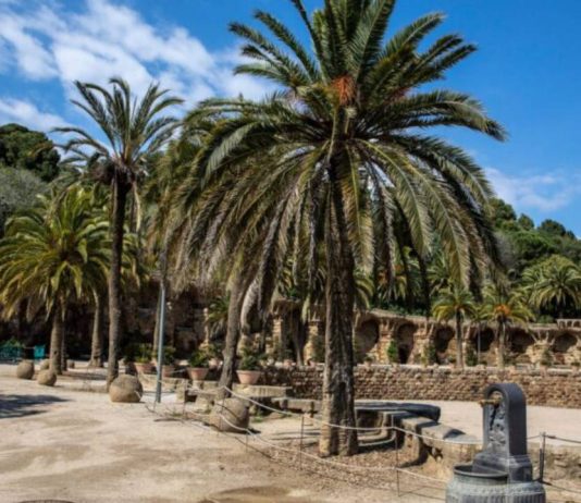 El Park Güell renueva su alumbrado y amplía el Wi-Fi El Park Güell renueva su alumbrado y amplía el Wi-Fi