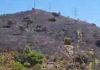 Extinguido el incendio de Collserola tras quemar 54,5 hectáreas Extinguido el incendio de Collserola tras quemar 54,5 hectáreas