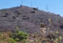 Extinguido el incendio de Collserola tras quemar 54,5 hectáreas Extinguido el incendio de Collserola tras quemar 54,5 hectáreas