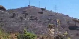 Extinguido el incendio de Collserola tras quemar 54,5 hectáreas Extinguido el incendio de Collserola tras quemar 54,5 hectáreas