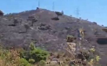 Extinguido el incendio de Collserola tras quemar 54,5 hectáreas Extinguido el incendio de Collserola tras quemar 54,5 hectáreas
