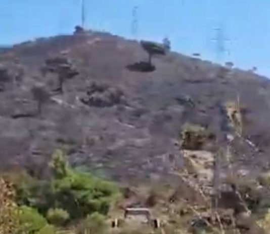 Extinguido el incendio de Collserola tras quemar 54,5 hectáreas Extinguido el incendio de Collserola tras quemar 54,5 hectáreas
