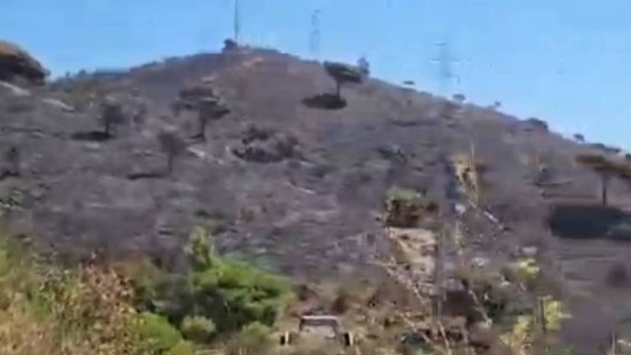 Extinguido el incendio de Collserola tras quemar 54,5 hectáreas Extinguido el incendio de Collserola tras quemar 54,5 hectáreas