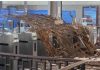 Fabra i Puig sigue cerrada tras caer parte del falso techo Fabra i Puig sigue cerrada tras caer parte del falso techo