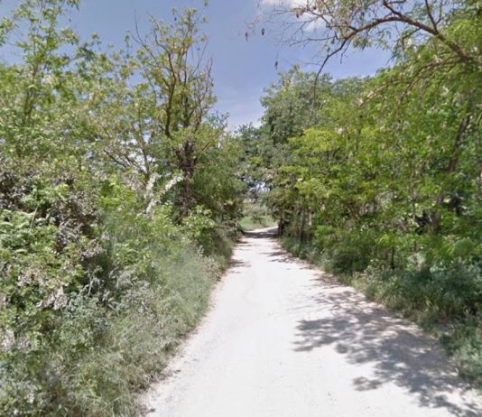 Vecinos de Collserola, sin dormir por una fiesta de cuatro días Vecinos de Collserola, sin dormir por una fiesta de cuatro días