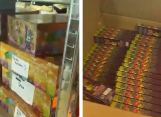 Desmantelan un taller ilegal de cannabis en el Eixample Desmantelan un taller ilegal de cannabis en el Eixample