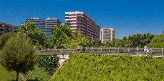 Diagonal Mar organiza tres paseos gratuitos para descubrir la biodiversidad Diagonal Mar organiza tres paseos gratuitos para descubrir la biodiversidad