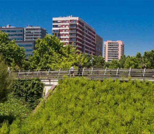 Diagonal Mar organiza tres paseos gratuitos para descubrir la biodiversidad Diagonal Mar organiza tres paseos gratuitos para descubrir la biodiversidad